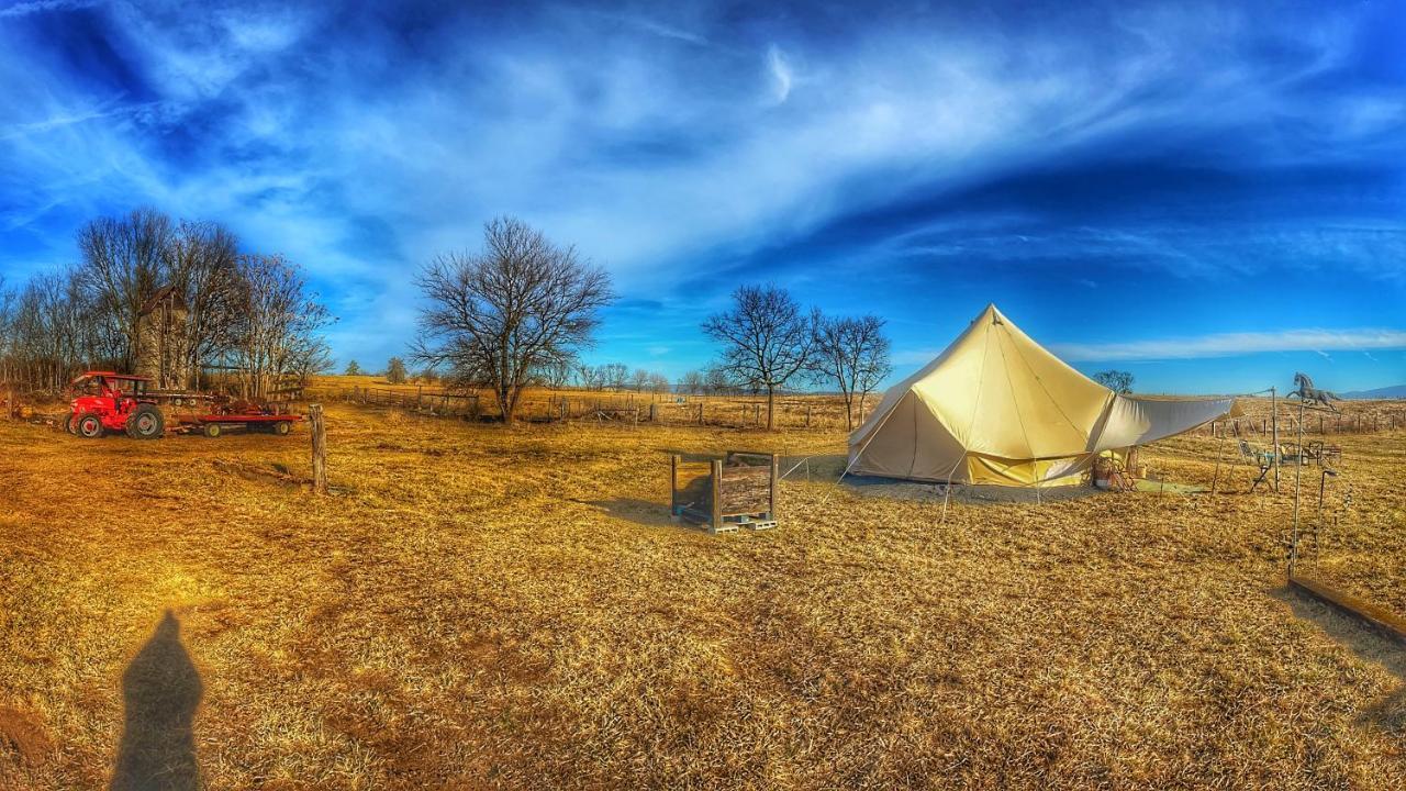 Shenandoah Valley Glamping - Amazing Views - Farm Edinburg Exterior foto