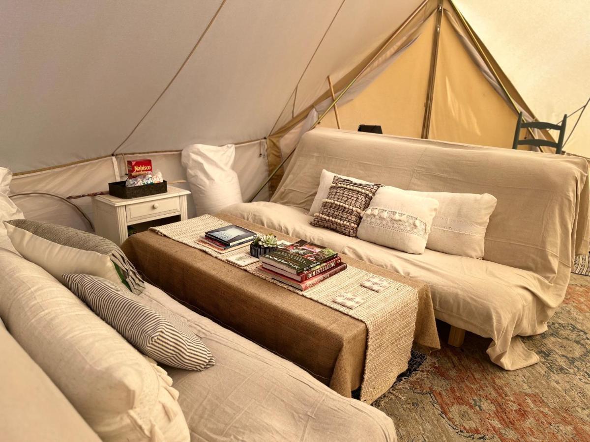 Shenandoah Valley Glamping - Amazing Views - Farm Edinburg Exterior foto